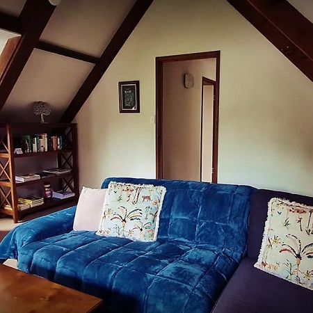 Dancing Waters Cottage Springbrook Εξωτερικό φωτογραφία